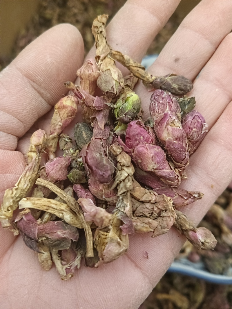 冬花款冬花中药材干花蕾优质货源实物实拍量大优惠