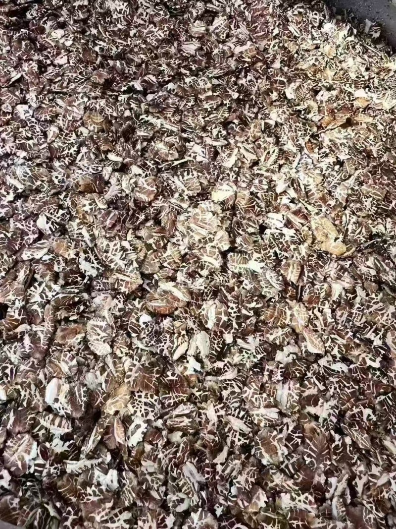 黑熟麦片