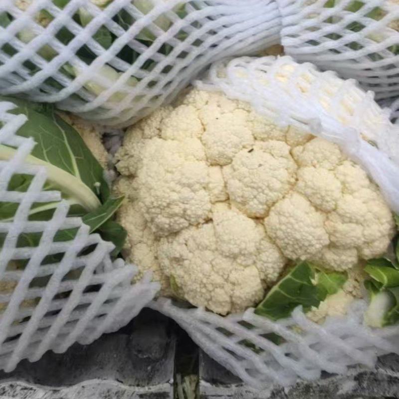 【有机花菜】花菜大量有货，松花菜青梗散花欢迎选购