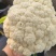 【有机花菜】花菜大量有货，松花菜青梗散花欢迎选购