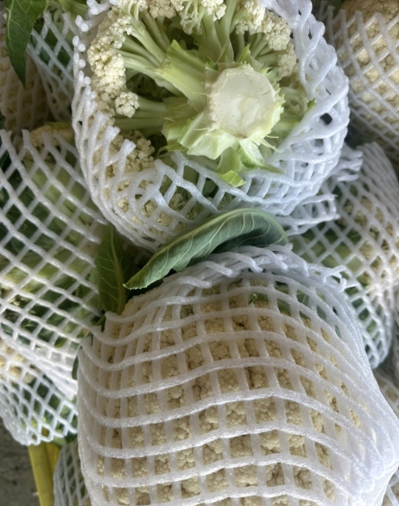 【有机花菜】花菜大量有货，松花菜青梗散花欢迎选购