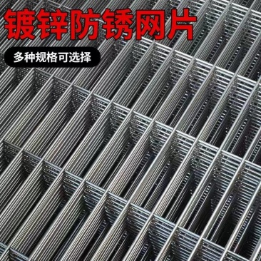 镀锌铁丝长孔网片鸽舍围网鸽子防护网铁丝网鸽棚围网狗笼钢丝