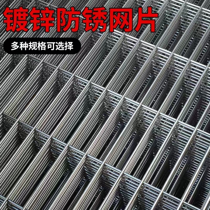 镀锌铁丝长孔网片鸽舍围网鸽子防护网铁丝网鸽棚围网狗笼钢丝