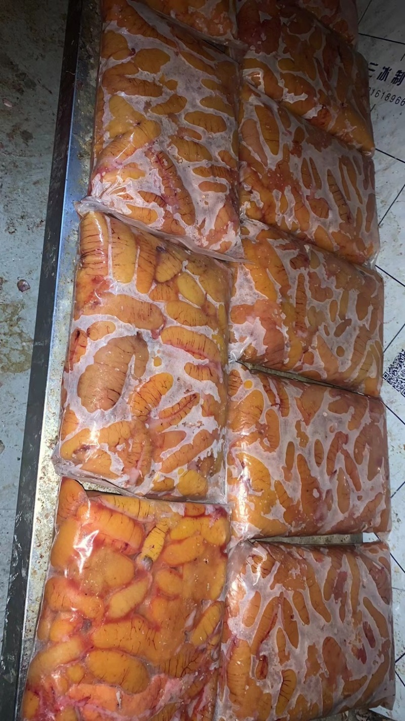 鲈鱼鱼籽精品鱼籽可视频看货实地考察量大价优电联