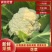 【有机花菜】花菜大量有货，松花菜青梗散花欢迎选购