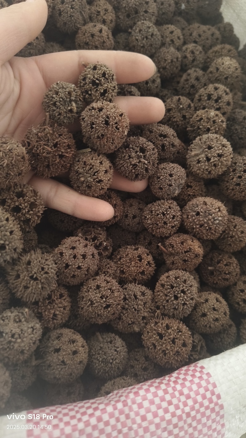 【路路通】实拍现货