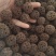 【路路通】实拍现货