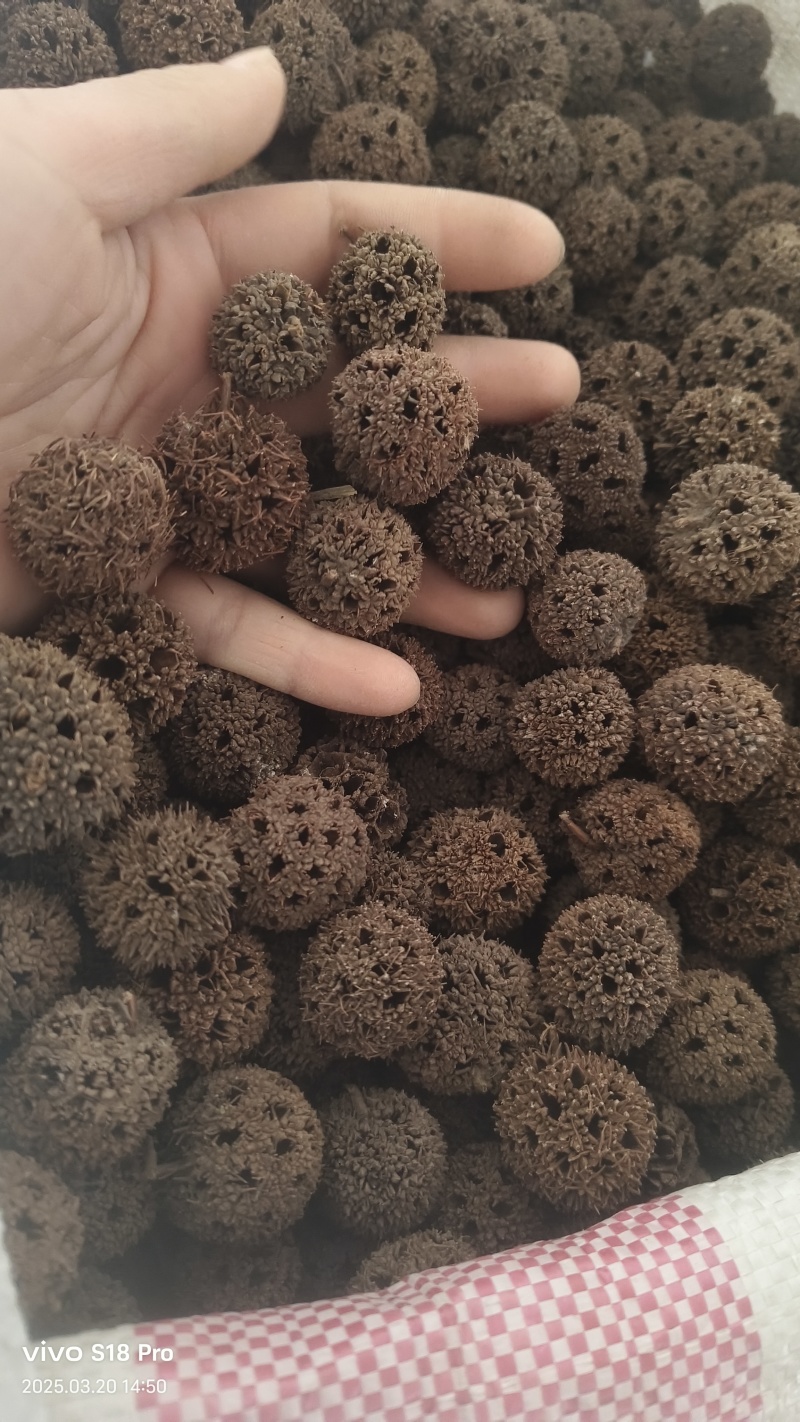 【路路通】实拍现货