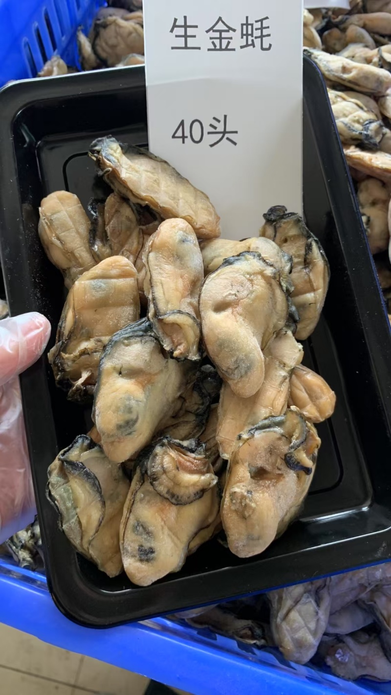 台山自产自销生晒金蚝干蚝干欢迎联系量大价优