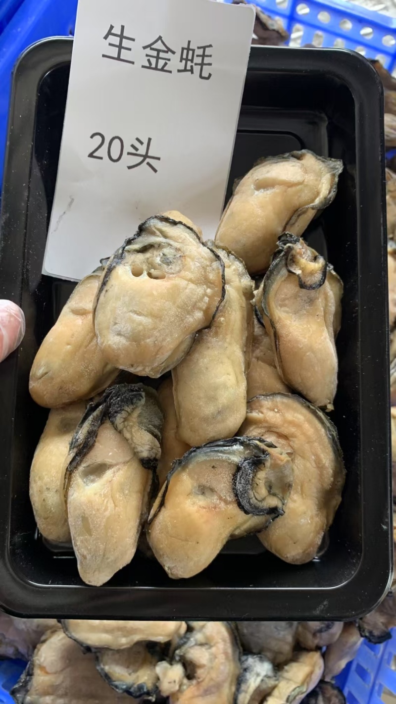 台山自产自销生晒金蚝干蚝干欢迎联系量大价优