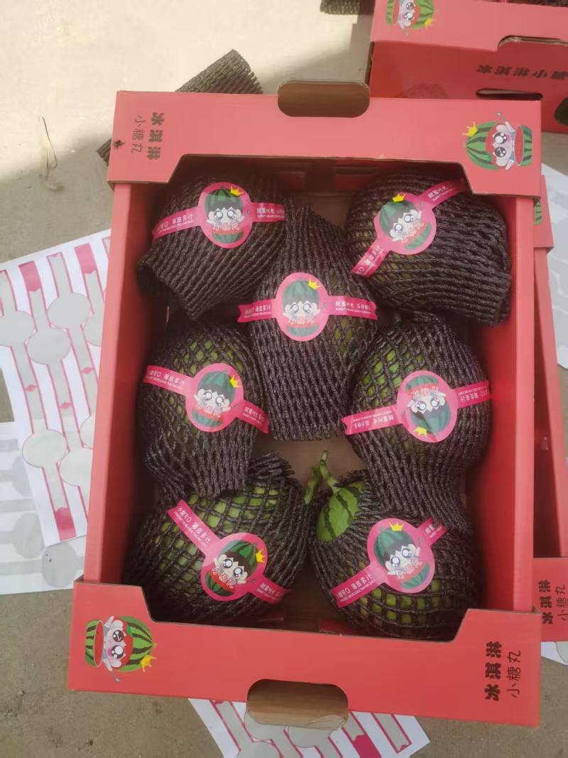 万亩早春红玉小西瓜，大量上市中，保熟保质保量