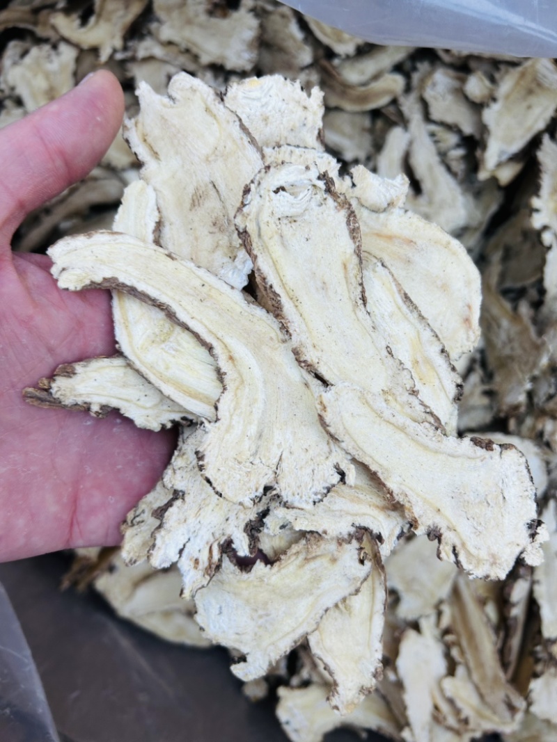 当归头精选心片甘肃当归头片规格齐全量大从优，全年发货