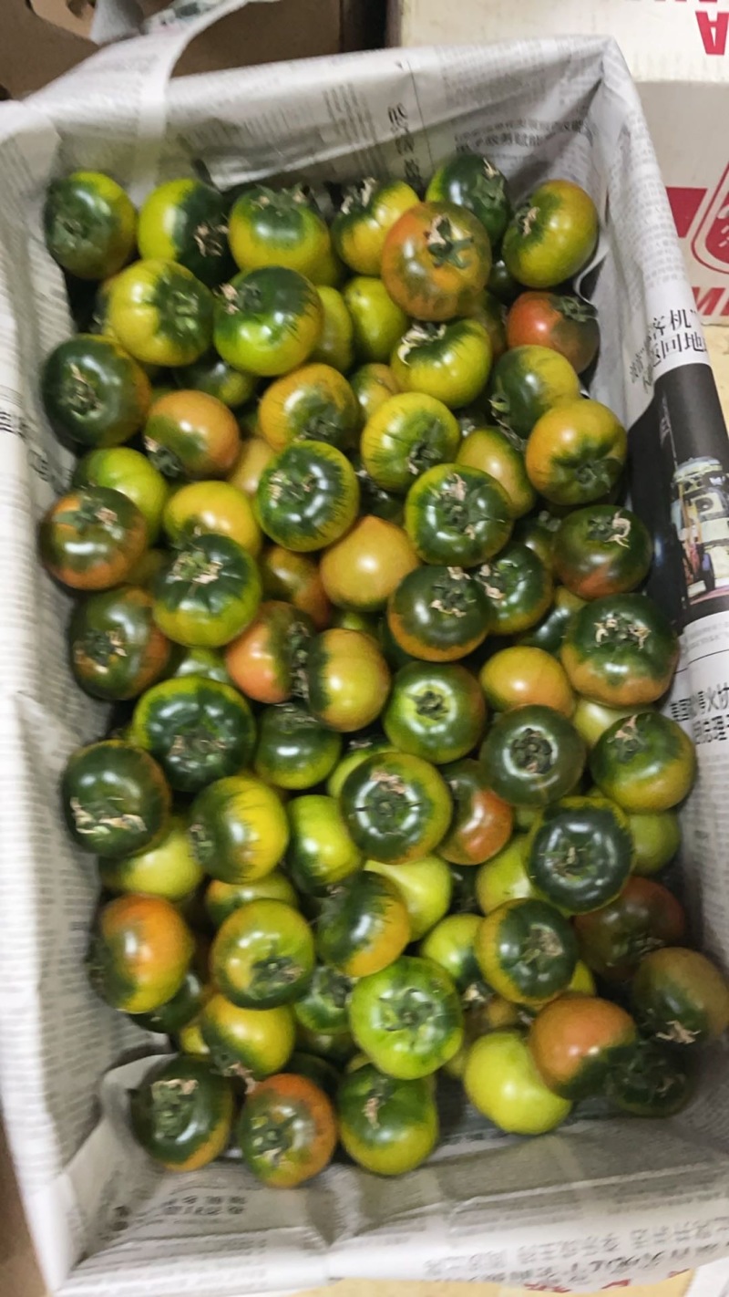 新鲜采摘草莓西红柿，甜美多汁，健康之选，限量供应，赶快抢购！