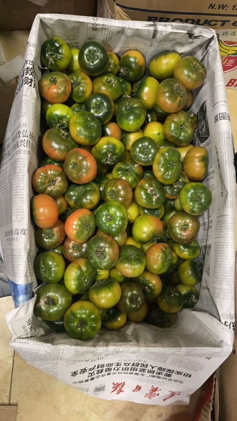 新鲜采摘草莓西红柿，甜美多汁，健康之选，限量供应，赶快抢购！