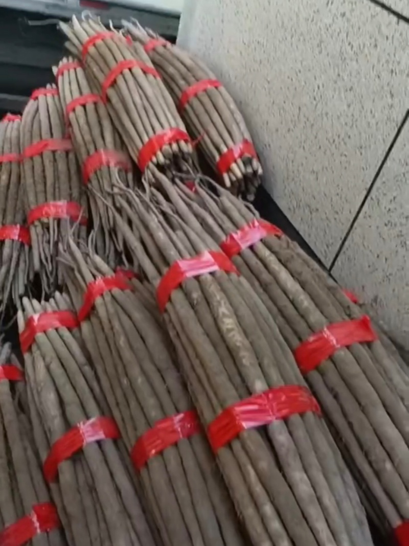急售！山药条行好口感粉糯香甜可对接电商团购各大批发商