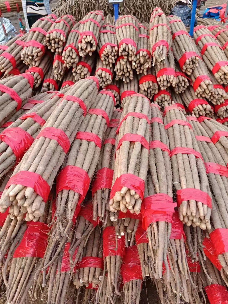 急售！山药条行好口感粉糯香甜可对接电商团购各大批发商