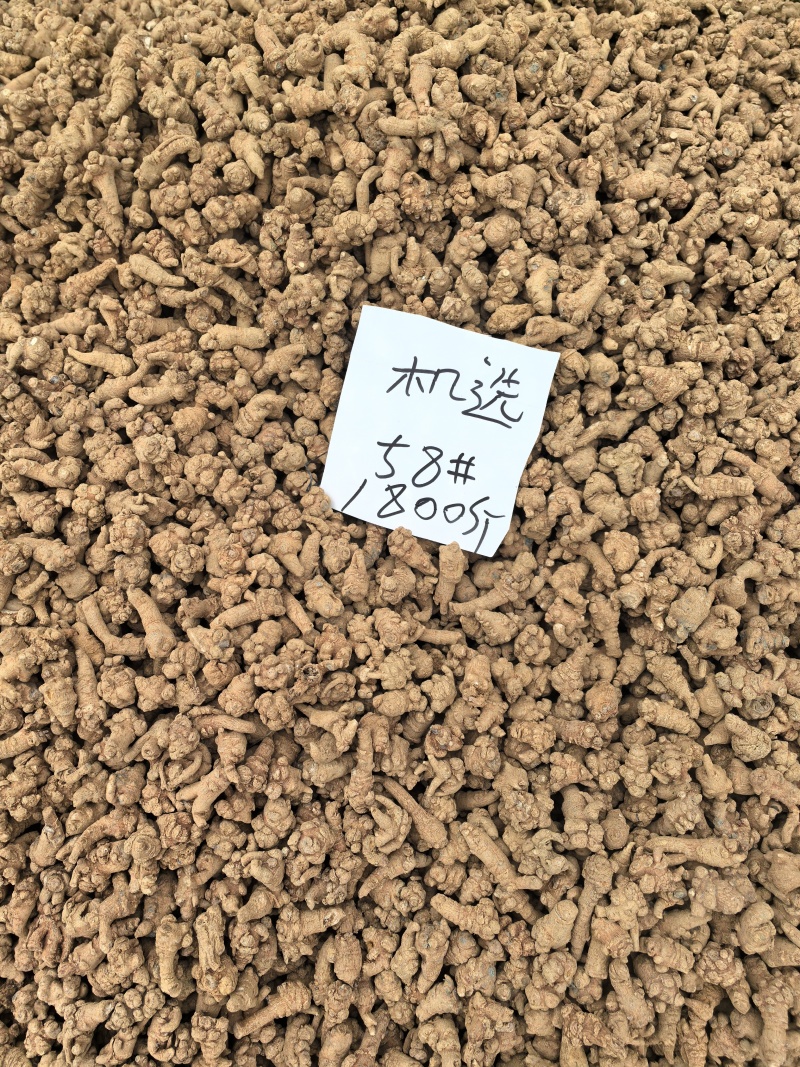 出售文山三七