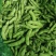 山东郯城万亩毛豆基地翠绿宝毛豆大青豆小寒王颗粒饱满货量大