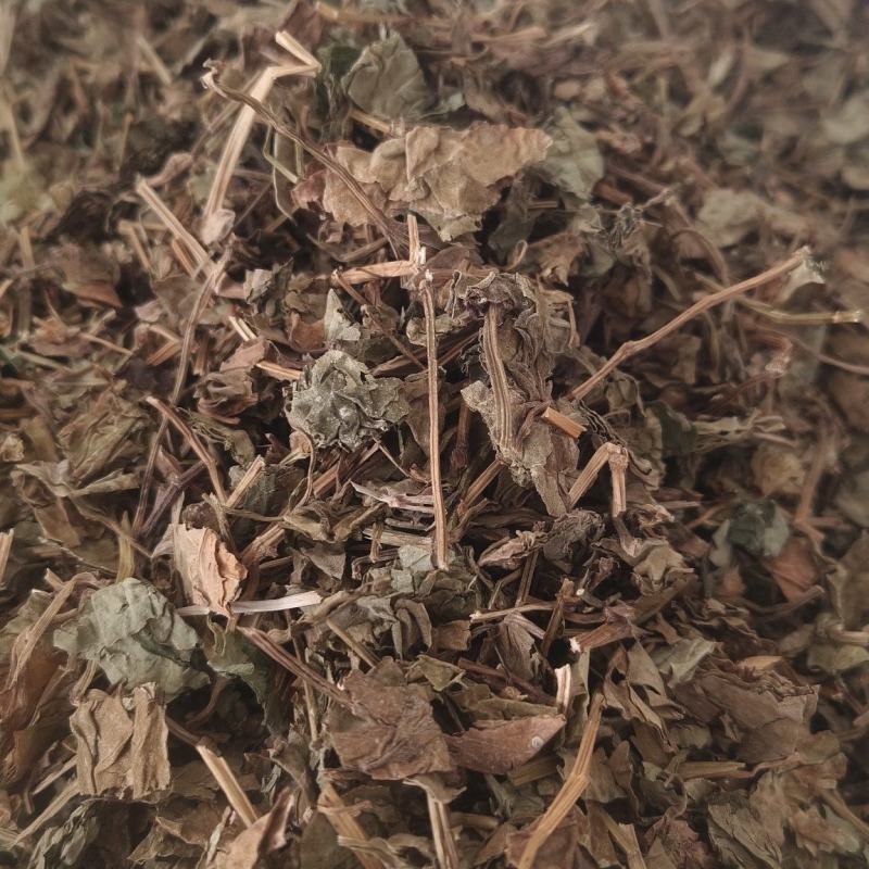 【干鱼腥草】新货过筛干净无杂质地道药材批发价格
