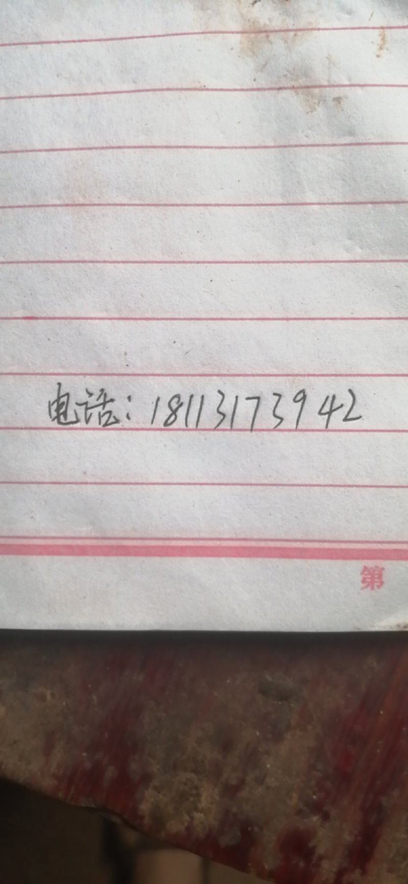 现成虾塘出租转让