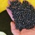 2025年大红袍花椒籽饲料级脂肪20左右，蛋白10。