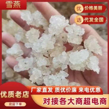 雪燕缅甸拉丝雪燕产地一手货源，批发零售，量大优惠欢迎合作