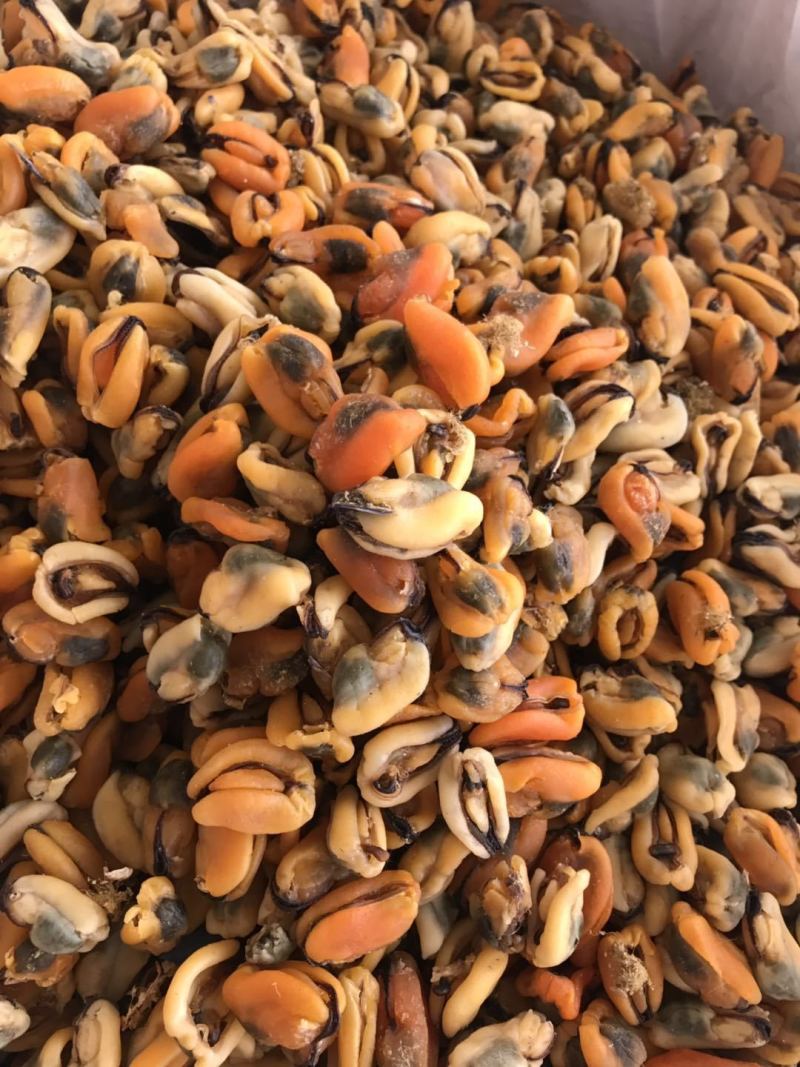 海虹干，海虹淡菜干，一手货源，大量批发。