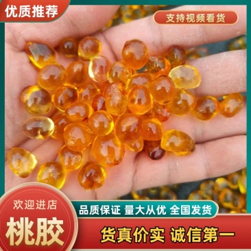 【精选】桃胶黄红水洗桃胶产地一手货源批发零售量大价优