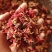 中药材石榴花带花瓣干石榴老树红石榴花干花