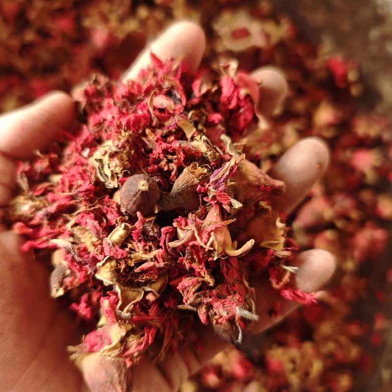 中药材石榴花带花瓣干石榴老树红石榴花干花