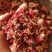 中药材石榴花带花瓣干石榴老树红石榴花干花