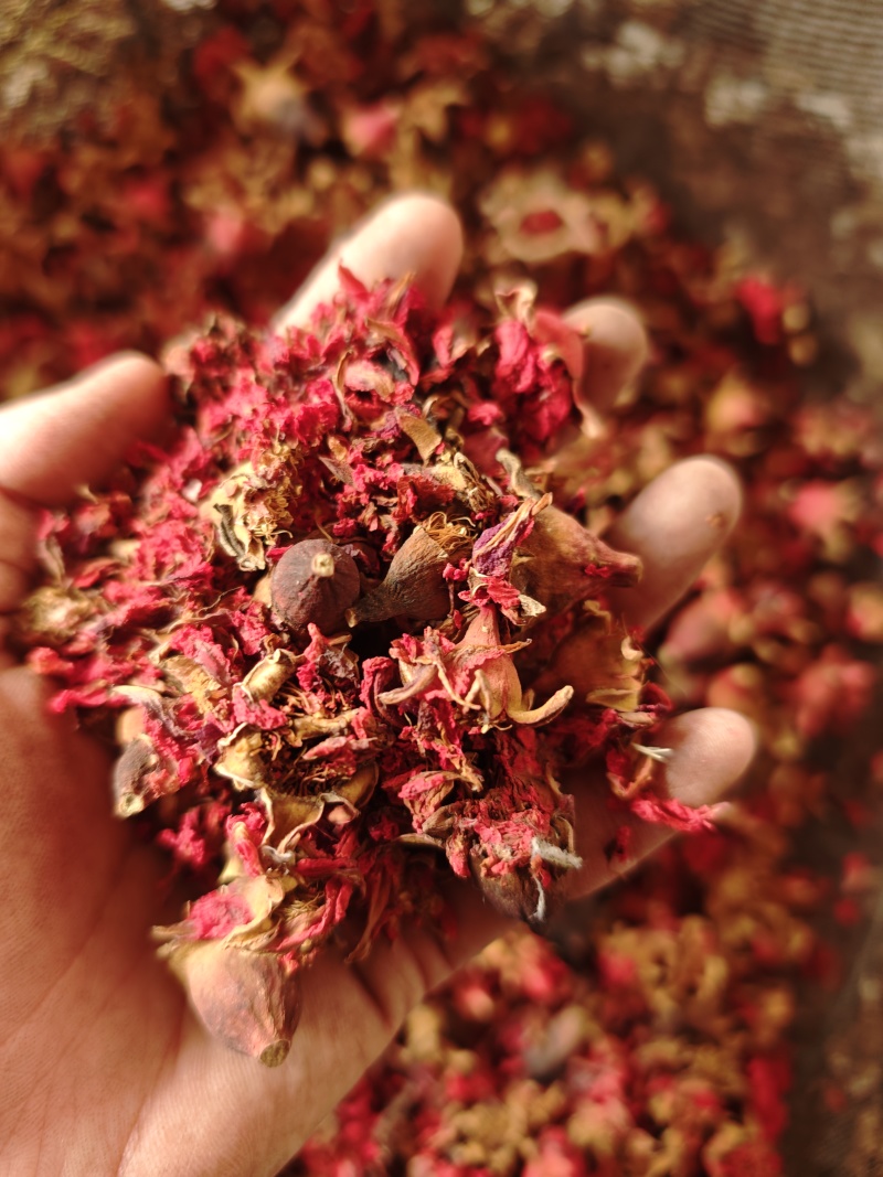 中药材石榴花带花瓣干石榴老树红石榴花干花