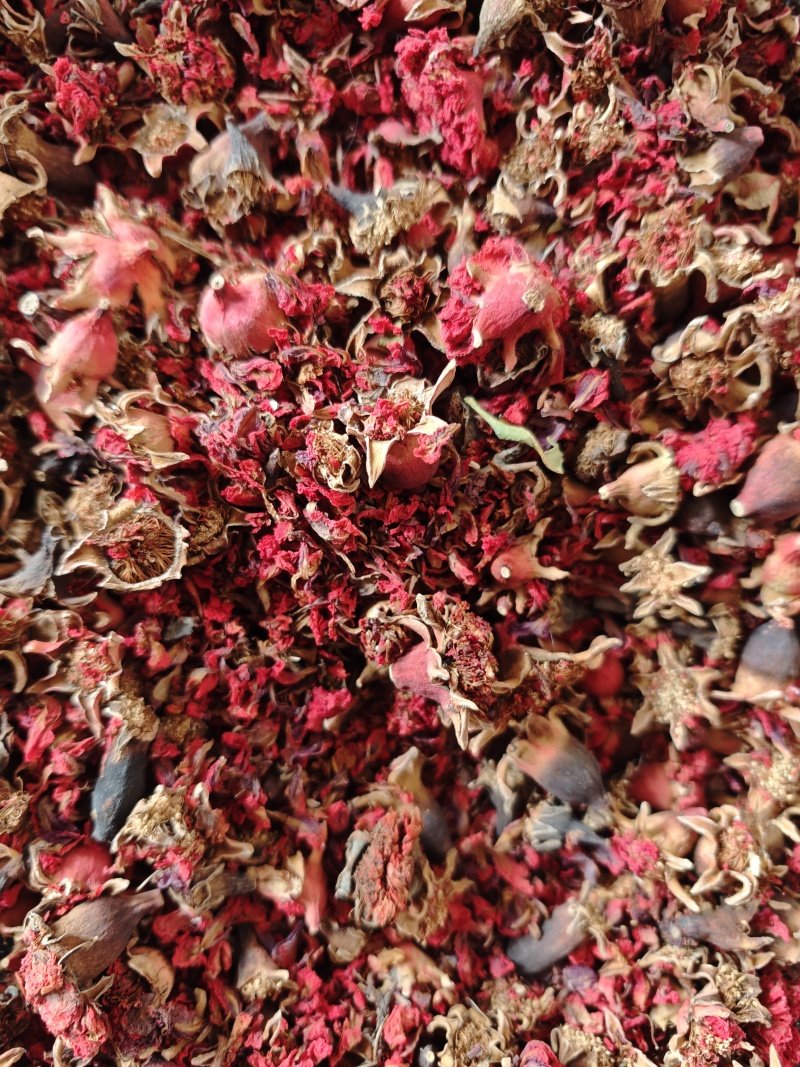 中药材石榴花带花瓣干石榴老树红石榴花干花