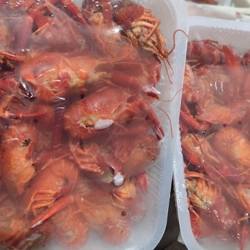 洪湖清水小龙虾，液氮锁鲜虾价格详谈每日行情波动1-2元