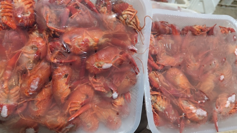 洪湖清水小龙虾，液氮锁鲜虾价格详谈每日行情波动1-2元