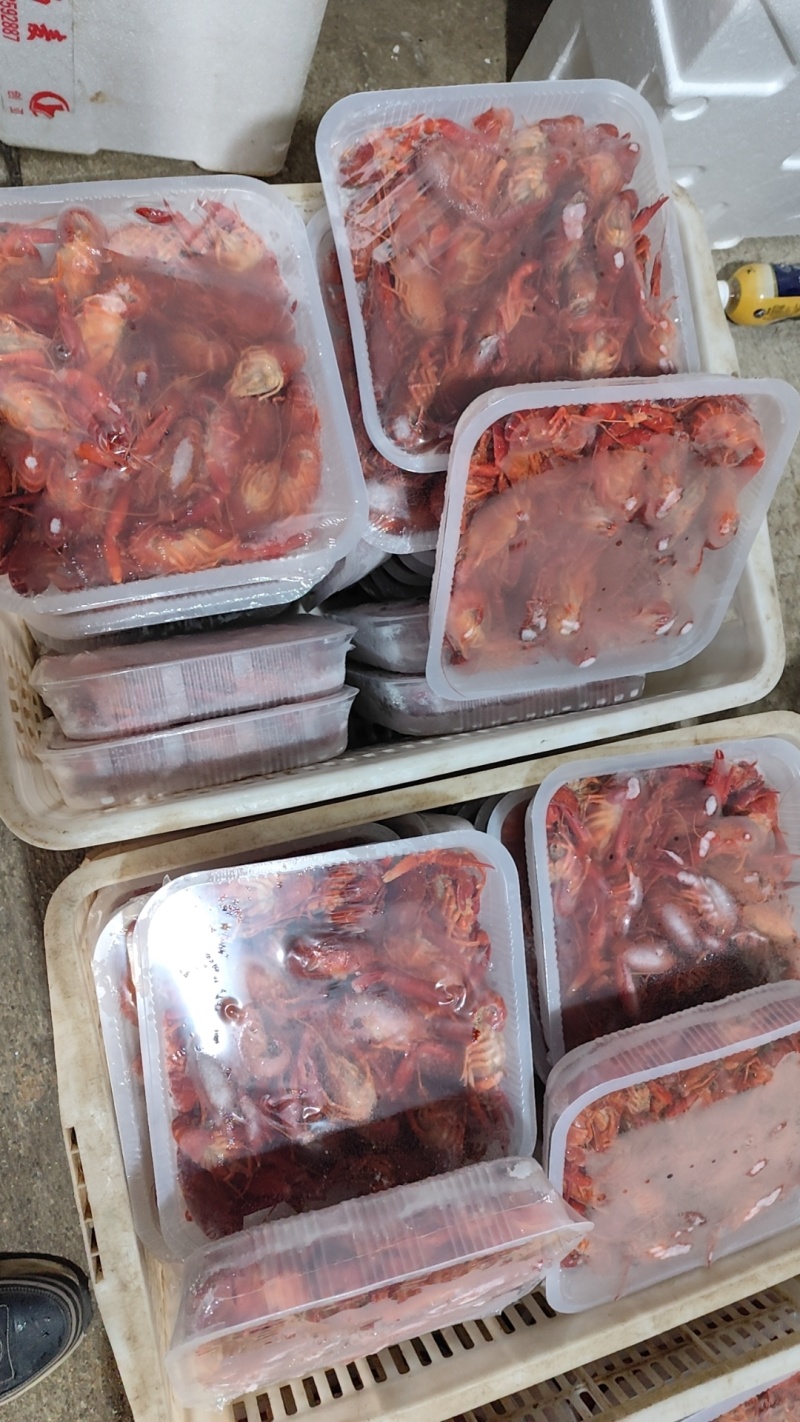洪湖清水小龙虾，液氮锁鲜虾价格详谈每日行情波动1-2元