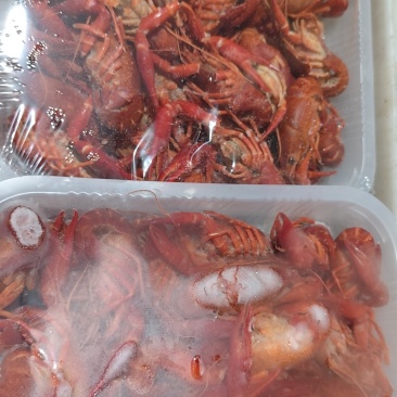 【蒜蓉小龙虾】清水小龙虾，麻辣小龙虾，蒜香小龙虾加热即食
