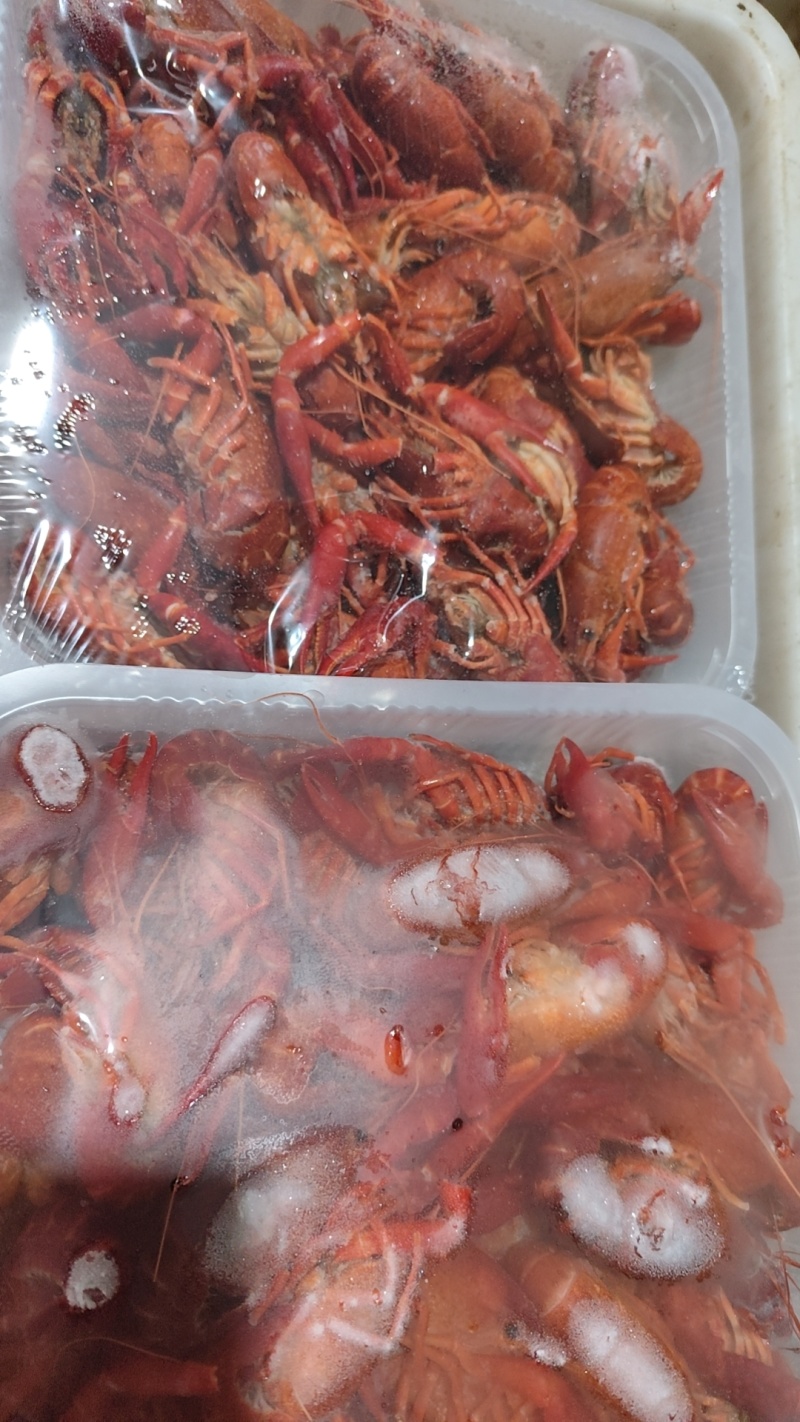 【蒜蓉小龙虾】清水小龙虾，麻辣小龙虾，蒜香小龙虾加热即食