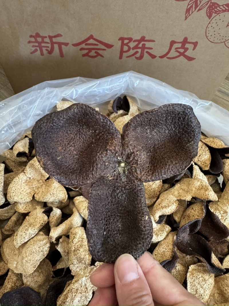 新会三江陈皮大量批发茶枝柑大红皮陈皮茶陈皮干
