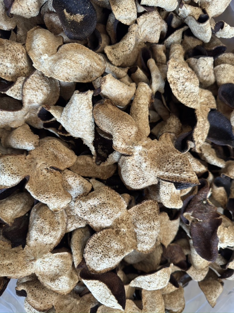 新会三江陈皮大量批发茶枝柑大红皮陈皮茶陈皮干