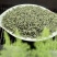 1斤明前高端碧螺春新茶高山绿茶浓香型嫩芽茶