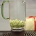 1斤明前高端碧螺春新茶高山绿茶浓香型嫩芽茶