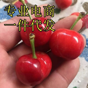 山东大樱桃美早产地直供支持全国发货支持电商价格美丽