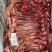 牛前腿肉