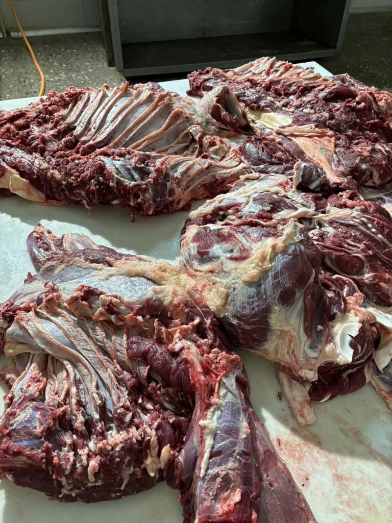 牛前腿肉