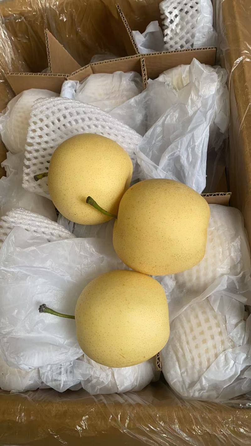 【精品】皇冠梨优选河北皇冠梨一手货源量大从优价美