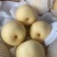 【精品】皇冠梨优选河北皇冠梨一手货源量大从优价美