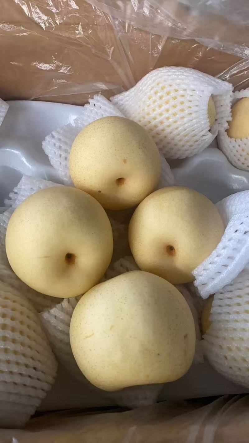 【精品】皇冠梨优选河北皇冠梨一手货源量大从优价美