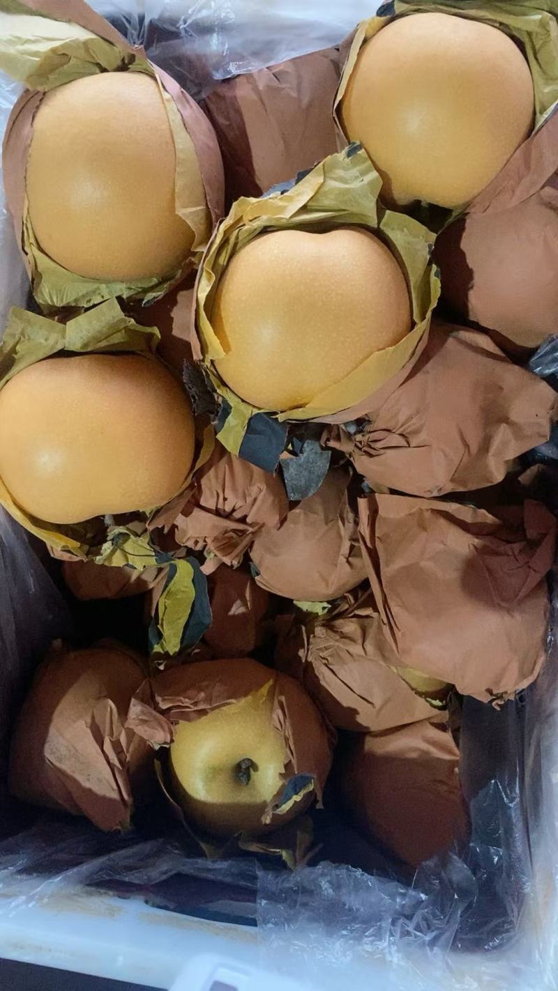 精品秋月梨精选秋月梨品种齐全口感脆甜量大从优