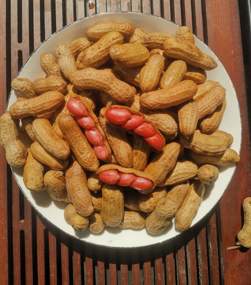 水煮花生带壳卤香味盐水煮花生零食凉菜小吃下酒.